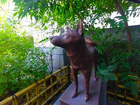 写真素材:東京都 藏前神社の元犬 写真素材:東京都 藏前神社の元犬の写真