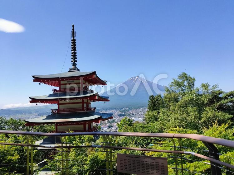 富士山と五重塔 富士山,五重塔,忠霊塔の写真素材