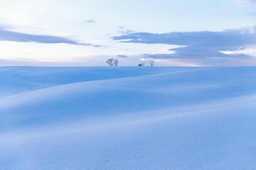 夕暮れの光に包まれる雪原のうねりと木立 雪原,丘陵,冬の写真素材