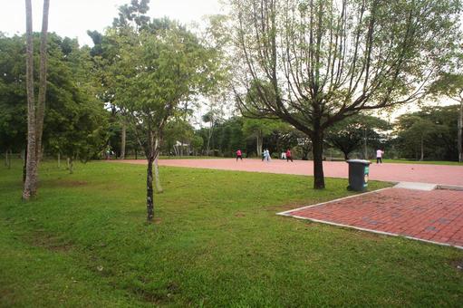 Photo, park, grass, wood, 