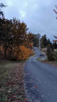 魚沼スカイラインの紅葉 魚沼スカイライン,紅葉,護国観音苑の写真素材