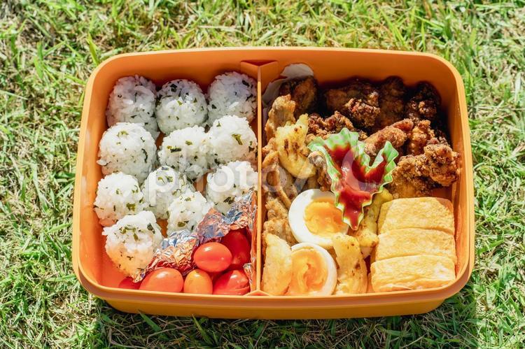 ピクニック・運動会のお弁当 弁当,お弁当,ピクニックの写真素材