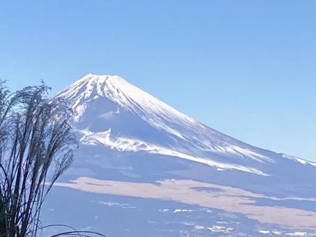Mt. Fuji and Japanese silver grass, JPG Mt. Fuji and Japanese silver grass, JPG