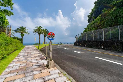 堀切峠 宮崎県宮崎市 堀切峠 宮崎県宮崎市 南国,夏,青空の写真素材