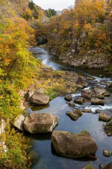 秋の磊々峡(46) 秋,紅葉,磊々峡の写真素材