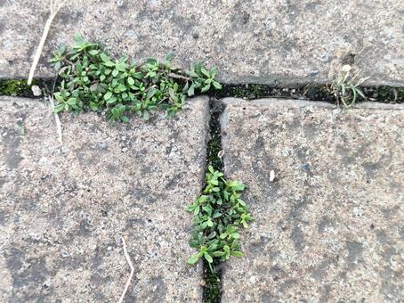 Photo, block, block gap, small world, 