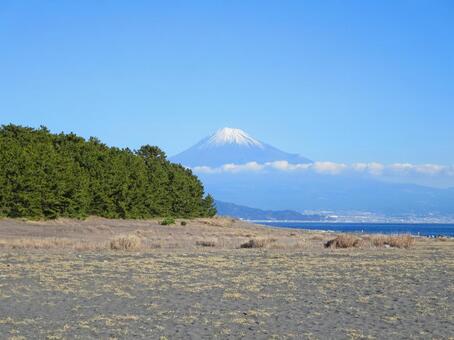 三保の松原と富士山 三保の松原,富士山,松の写真素材