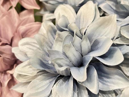 美しい花の背景、コピースペース 花,コピースペース,美しいの写真素材