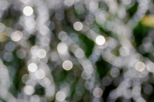 Bokeh balls ⑷, JPG Bokeh balls ⑷, JPG