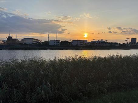 芝生と夕暮れ 芝生と夕暮れ 川,河川,夕景の写真素材