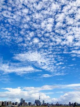夏空 夏空の写真