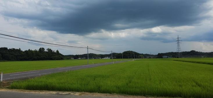 福島県須賀川市 田園風景 福島県須賀川市 田園風景 福島県,須賀川,田園の写真素材