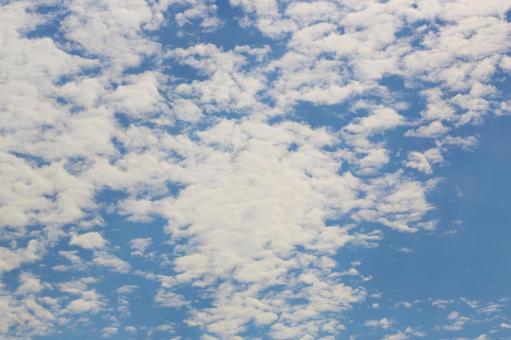 青い空と白い雲1(横浜市内にて) 青い空と白い雲1(横浜市内にて)の写真