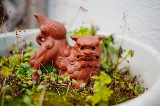 プランターに置かれたかわいいシーサー プランターに置かれたかわいいシーサーの写真