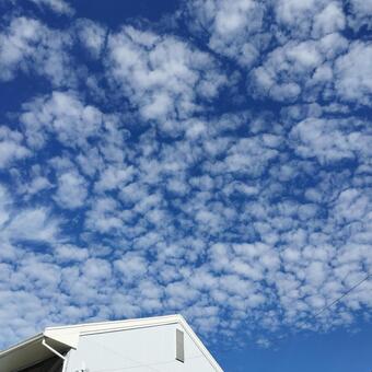 ひつじ雲 ひつじ雲,羊雲,ヒツジ雲の写真素材