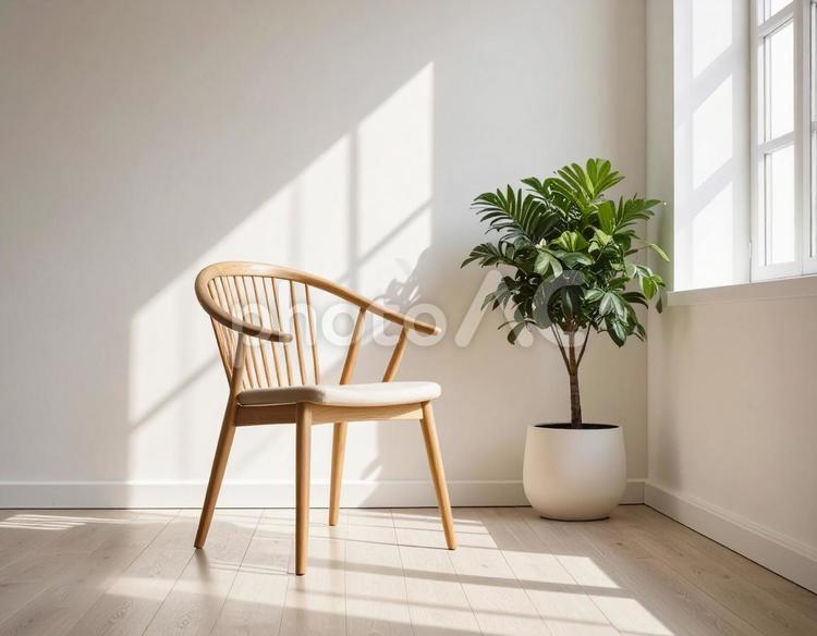 窓際の木製チェアと観葉植物 椅子,木製,観葉植物の写真素材