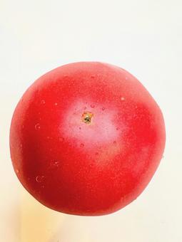 真っ赤なトマト 真っ赤なトマトの写真