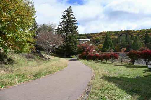 長野県の蓼科湖畔の秋の散策路の風景 長野県,蓼科湖,紅葉の写真素材