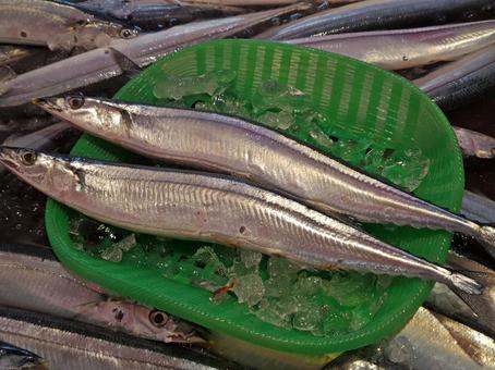 魚屋さんのサンマ(秋刀魚) 魚屋さんのサンマ(秋刀魚) さんま,魚屋,氷の写真素材