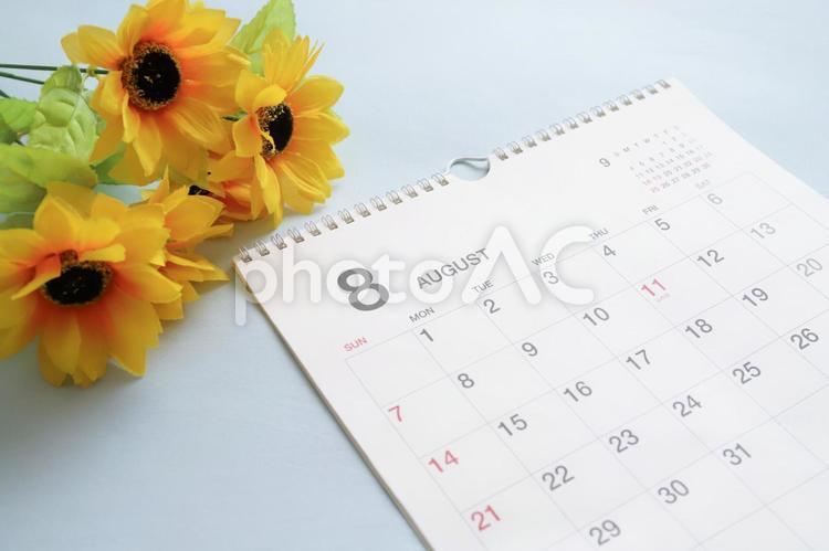 8月のカレンダー　夏イメージ 8月,カレンダー,イベントの写真素材
