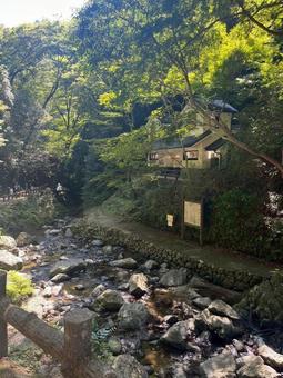 箕面公園 箕面公園,自然,川の写真素材