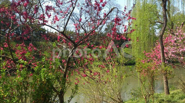 中国江蘇省揚州痩西湖中国庭園 中国,揚州,痩西湖の写真素材