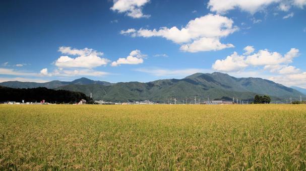 初秋の富士吉田市の田園風景 初秋の富士吉田市の田園風景の写真