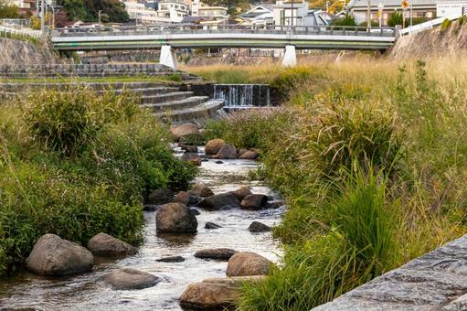 西宮・穏やかな夙川の流れ 夙川,川,水の写真素材