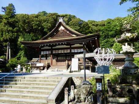 松尾大社拝殿下 松尾大社,京都市,京都の写真素材