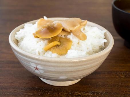 きのこ きのこ水煮 平茸 なめこ きのこ きのこ水煮 平茸 なめこの写真