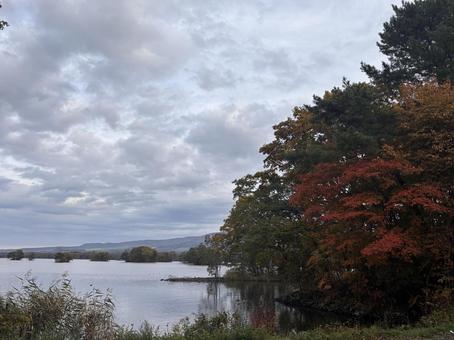 秋の大沼９の写真