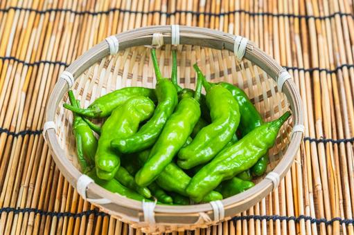 Fresh shishito peppers in a bamboo basket, JPG