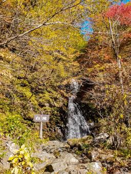 白滝の紅葉 白滝,紅葉,10月の写真素材