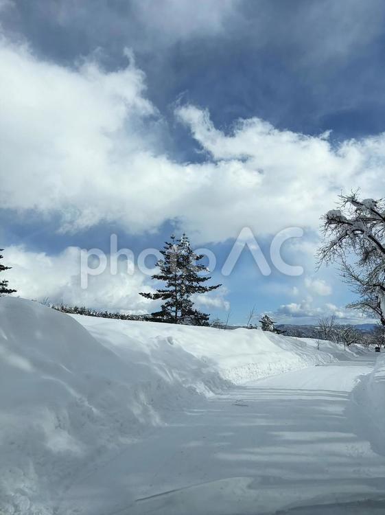 【冬の長野】除雪整備された車道 長野,冬,雪の写真素材