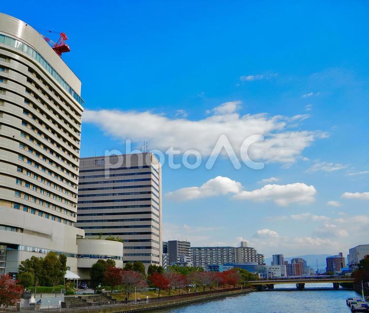 ビルと川と紅葉 ビル,川,紅葉の写真素材