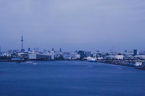 東京湾 東京湾の写真