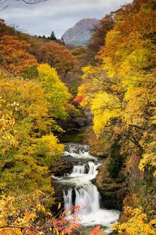 秋の鳳鳴四十八滝(23) 秋,紅葉,滝の写真素材