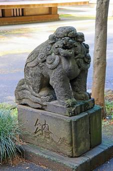 氷川町氷川神社（板橋） 氷川町氷川神社,素戔男命,稲田姫命の写真素材