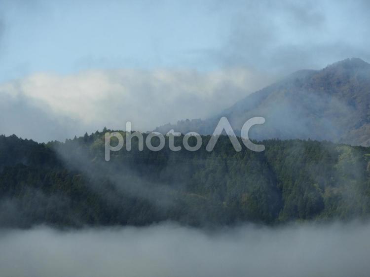 雲の低い朝の山の風景 山,朝,雲の写真素材