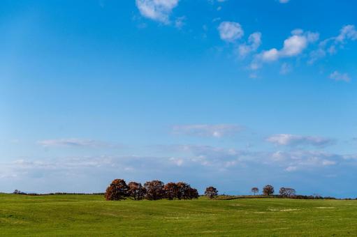 秋の木々と雄大な丘陵 牧草,青空,空の写真素材