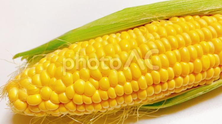 とうもろこし　穀物　夏野菜　イメージ　素材2 とうもろこし,トウモロコシ,コーンの写真素材