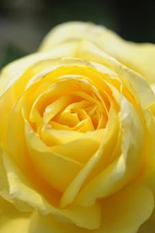 華2 華2の写真