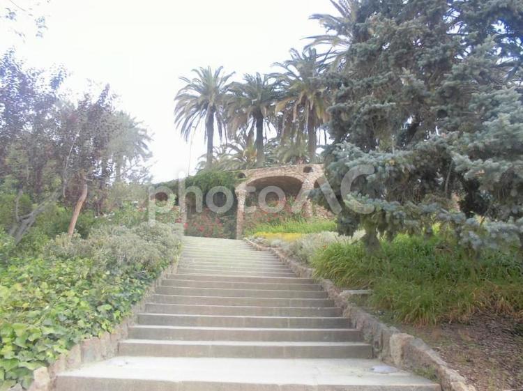 グエル公園の階段 スペイン,バルセロナ,グエル公園の写真素材