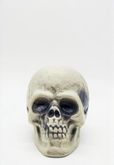 Photo, dead, bone, bones, 