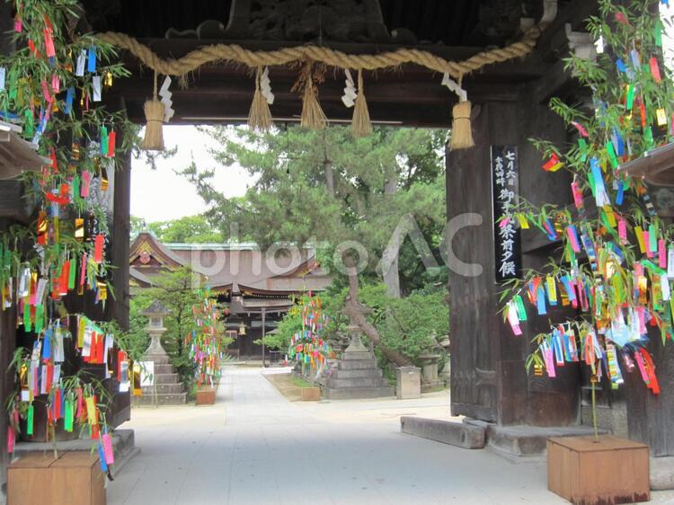天神さんの七夕。　その十七 七夕,天神さん,北野天神の写真素材