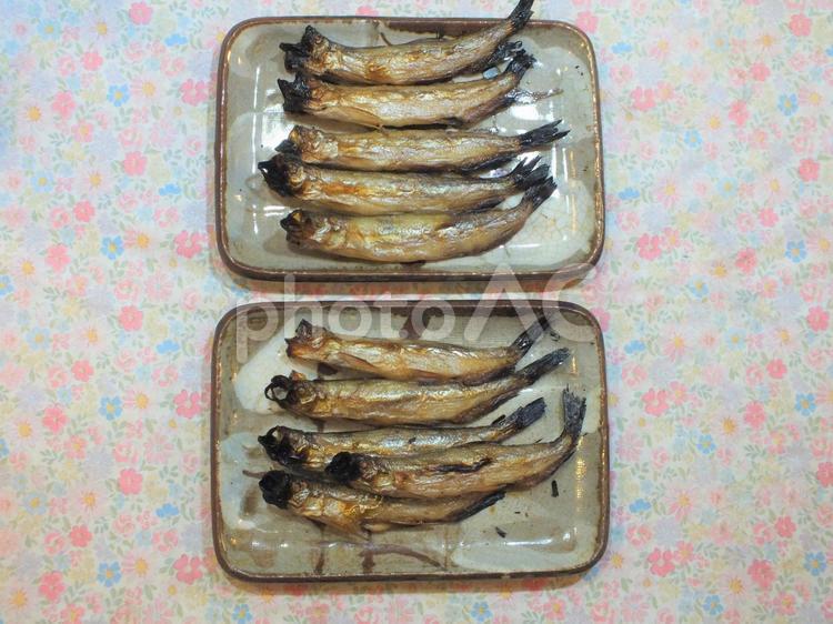 シシャモ　焼き魚 ししゃも,シシャモ,小魚の写真素材