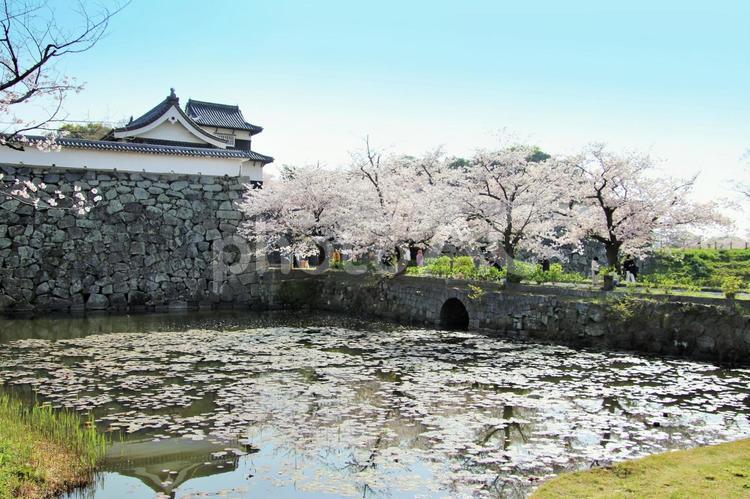 福岡市の舞鶴公園の潮見櫓 潮見櫓,福岡城址,福岡城の写真素材