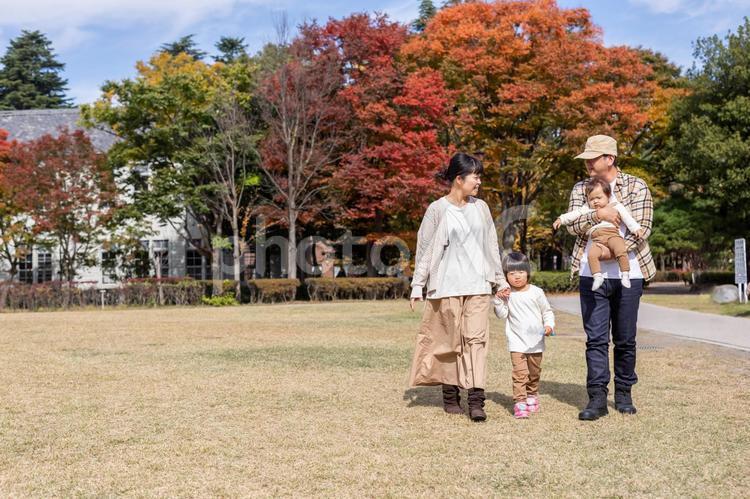 秋の公園を散歩する家族・ファミリー 家族,ファミリー,ピクニックの写真素材