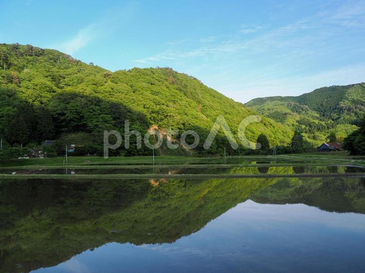 田園風景と青空 田園風景,田んぼ,植物の写真素材