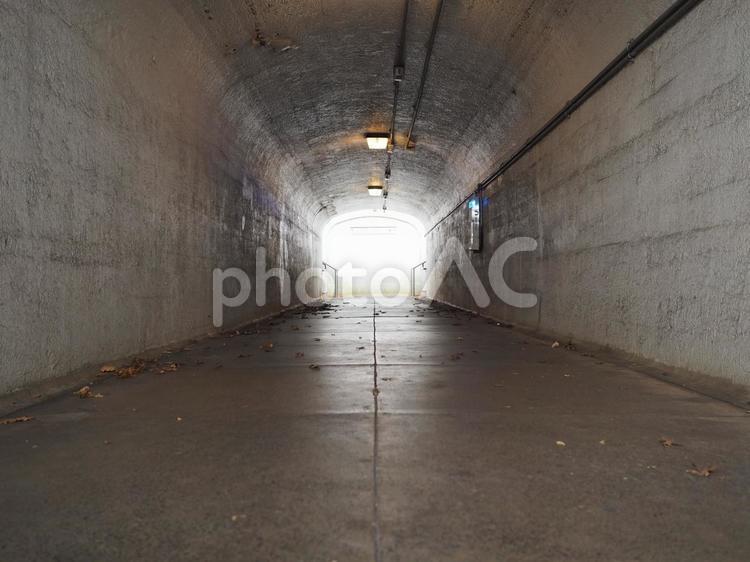 駅のホームの下をくぐるトンネル トンネル,隧道,通路の写真素材